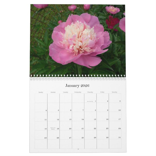 Pfingstrosen-Kalender August 2007 bis Juli 2008 Kalender (Jan 2026)