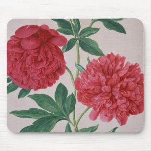 Pfingstrosen, überziehen 46 vom NassauFlorilegium Mousepad