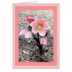 Pfirsich-Blumen-Karte