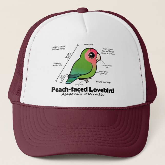 Pfirsich-gesichtige Lovebird-Statistiken Truckerkappe (Vorderseite)
