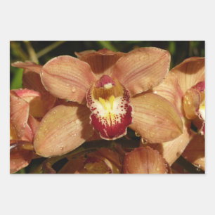 Pfirsich-Orchideen mit Regentropfen-Blumen Geschenkpapier Set