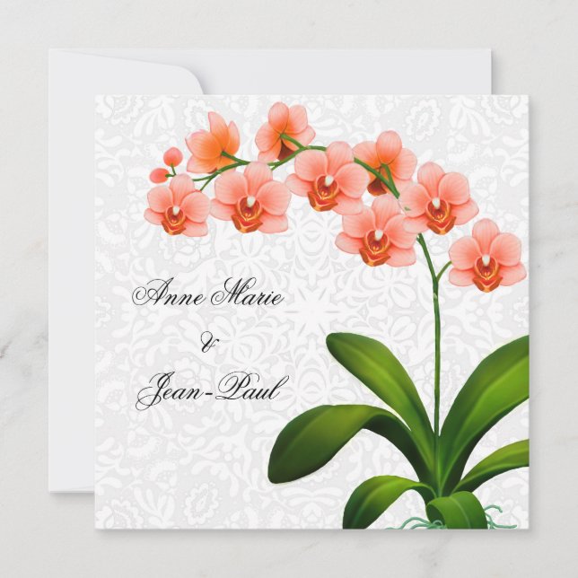 Pfirsich Phalaenopsis Orchids und Hochzeitsfeier Einladung (Vorderseite)