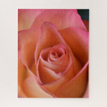 Pfirsich Pink Rose Jigsaw Puzzle