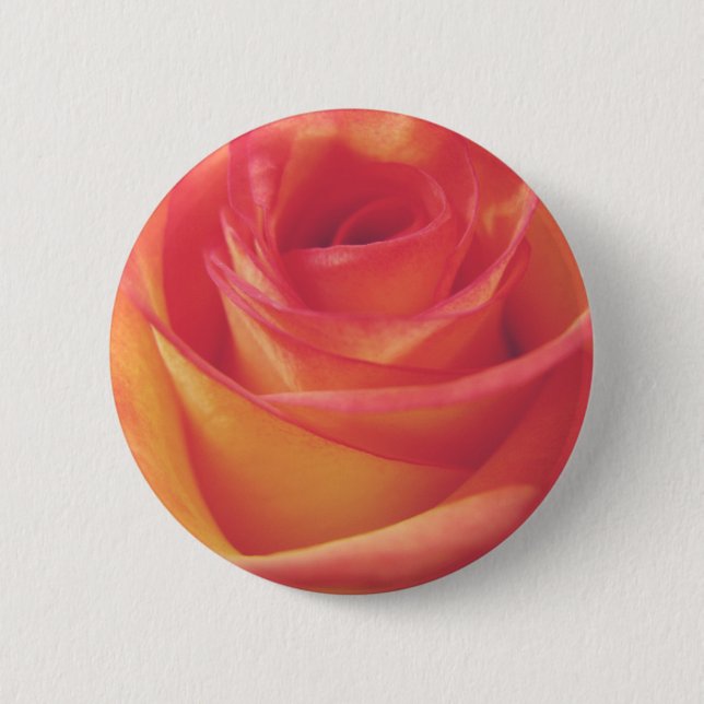 Pfirsich-rosa Rosen-Blüten-Vintage Art-Fotografie Button (Vorderseite)