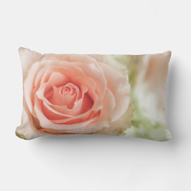 Pfirsich-rosa Rosen-Hintergrund besonders Lendenkissen (Vorderseite)
