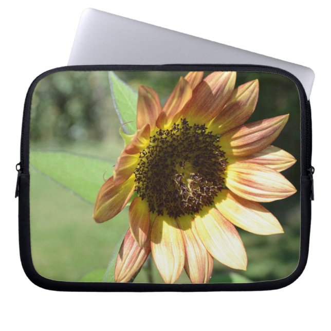 Pfirsich-Sonnenblume-Laptop-Hülse Laptopschutzhülle (Vorderseite)
