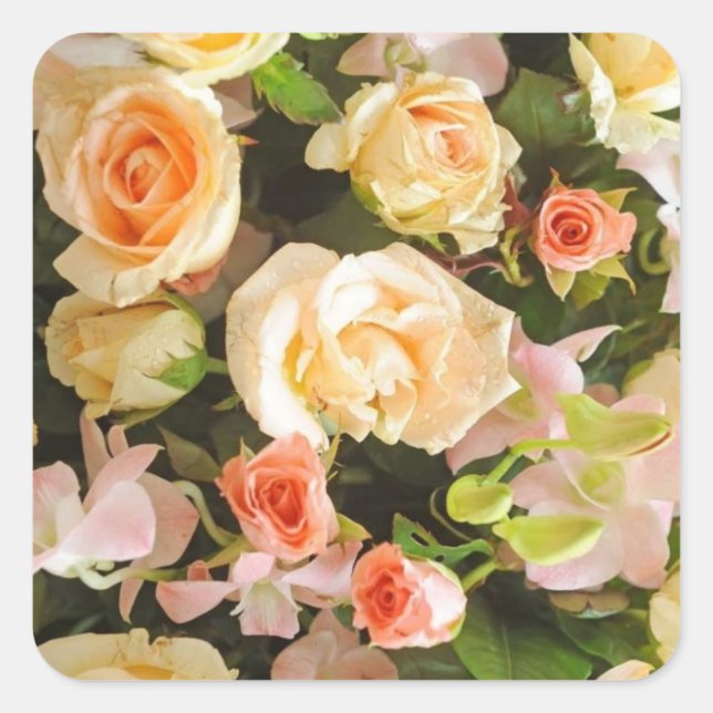 Pfirsich und Elfenbein-Rose Hochzeitskleber Quadratischer Aufkleber (Vorderseite)