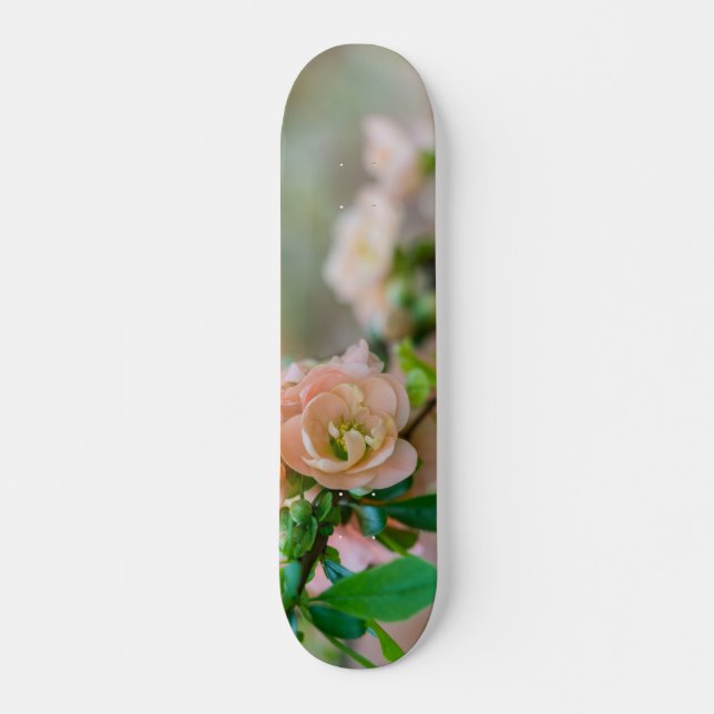 Pfirsichblendenzähigkeit Skateboard (Vorne)