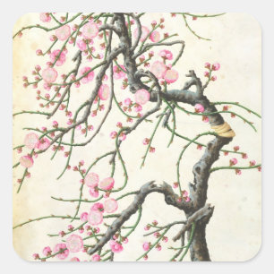 Pfirsichblüte (Farbe auf Papier) Quadratischer Aufkleber