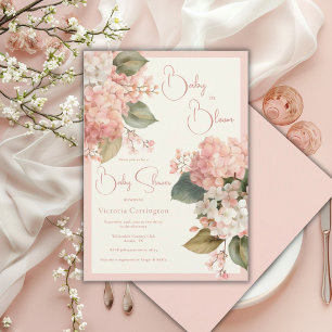Pfirsichcreme-Hortensien Baby in Blüte Elegant Einladung