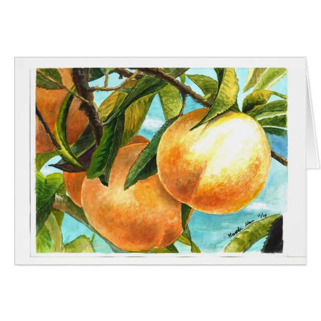 Pfirsiche bereit gezupft zu werden (Vorderseite (Horizontal))