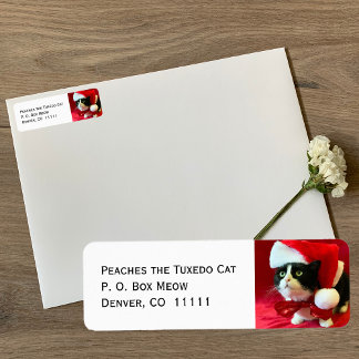 Pfirsiche die Tuxedo Cat Weihnachtsadressen Labels