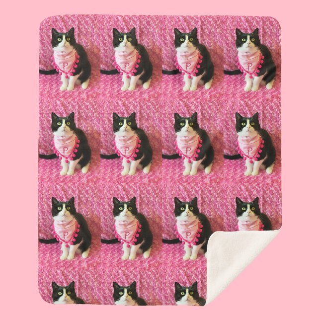 Pfirsiche Tuxedo Cat Medium Sherpa Blanket Sherpadecke (Von Creator hochgeladen)