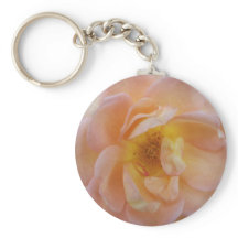 Pfirsichfarbene Rose