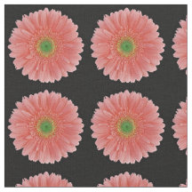 Pfirsichkorallenrotes Gerbera-Gänseblümchen-Gewebe