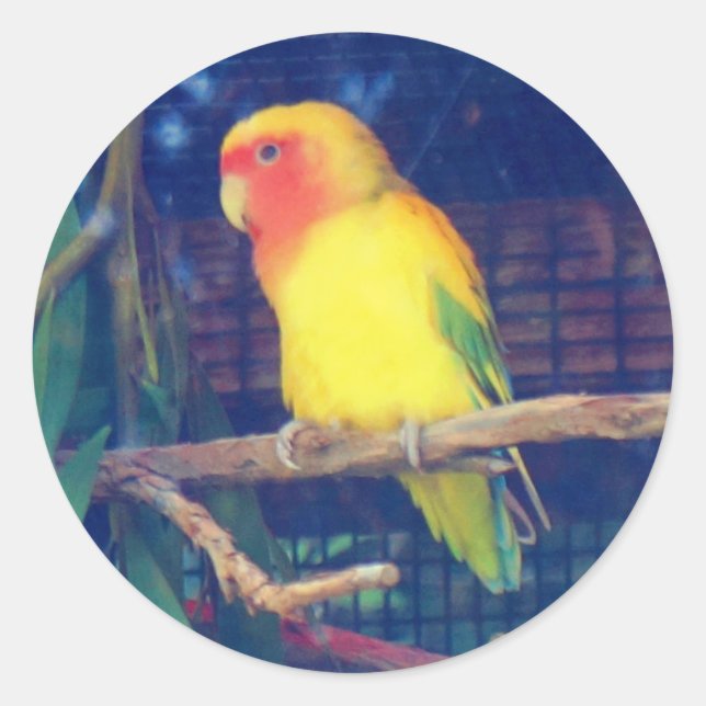 Pfirsichmarkierte Lovebird #1 Stickers (Vorderseite)