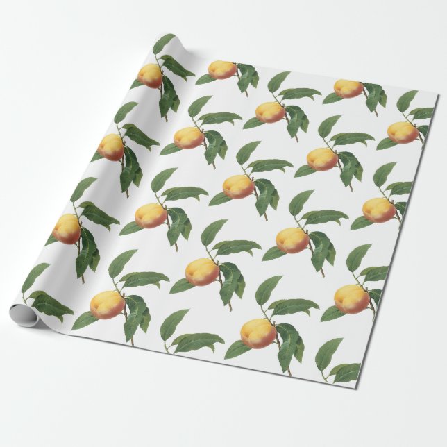 Pfirsichmuster Geschenkpapier (Ungerollt)