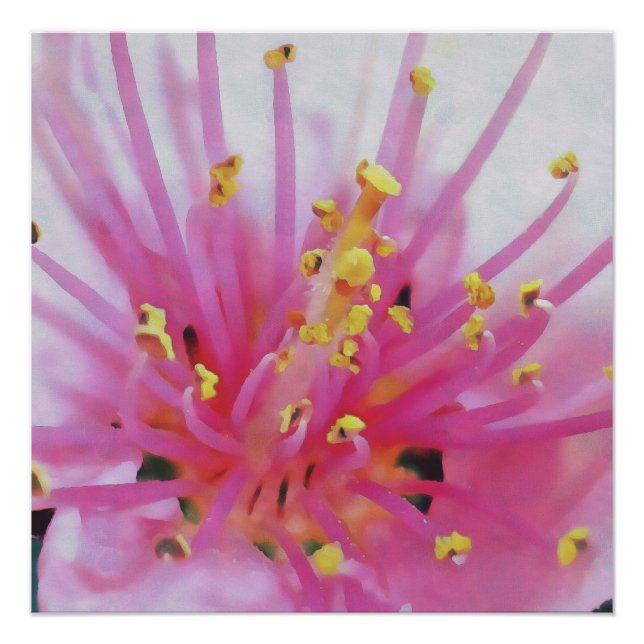 Pfirsichpollen Makro Abstrakte Kunst Poster (Vorderseite)