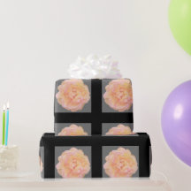 Pfirsichrosa Gelbe Rose Design auf schwarzem Hinte