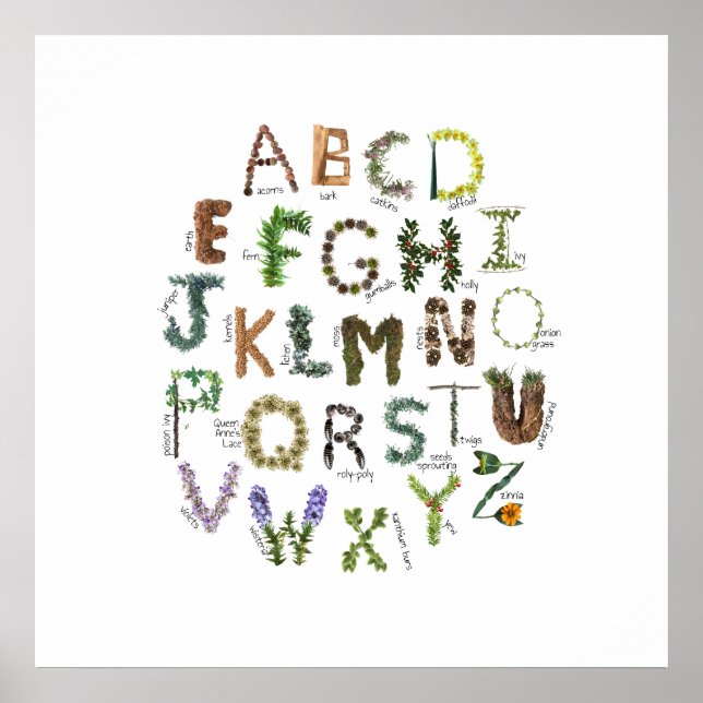 Pflanze Alphabet Nature Kinderzimmer Botanisches A Poster (Vorne)