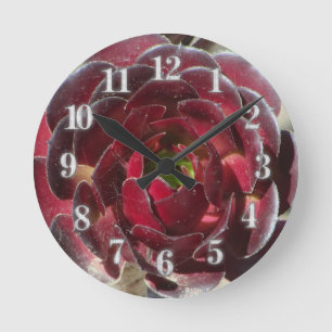 Pflanze an der Küste Foto Roter Burgund Sukkulent Runde Wanduhr