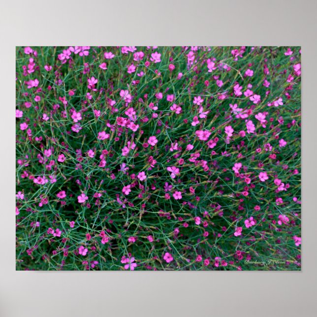 Pflanze aus Kens Garten Poster (Vorne)