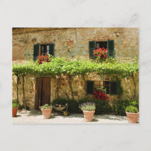 Pflanze außerhalb des Hauses, Piazza Roma, Postkarte