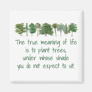 Pflanze Bäume Shade Bedeutung des Life Environmen Magnet
