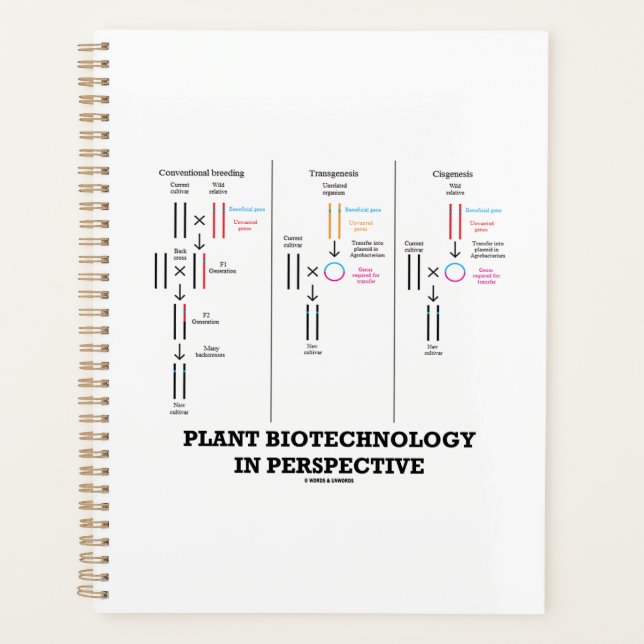 Pflanze Biotechnologie in Perspektive (Transgenese Planer (Vorderseite)