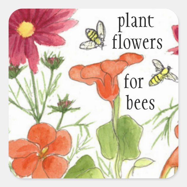 Pflanze Blume für Bienen Nasturtium-Blume Quadratischer Aufkleber (Vorderseite)
