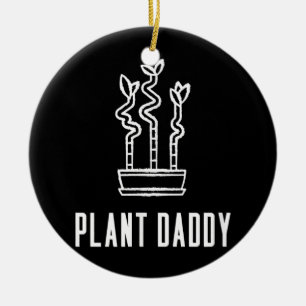 Pflanze Daddy Lucky Bamboo Hauspflanze  Keramik Ornament