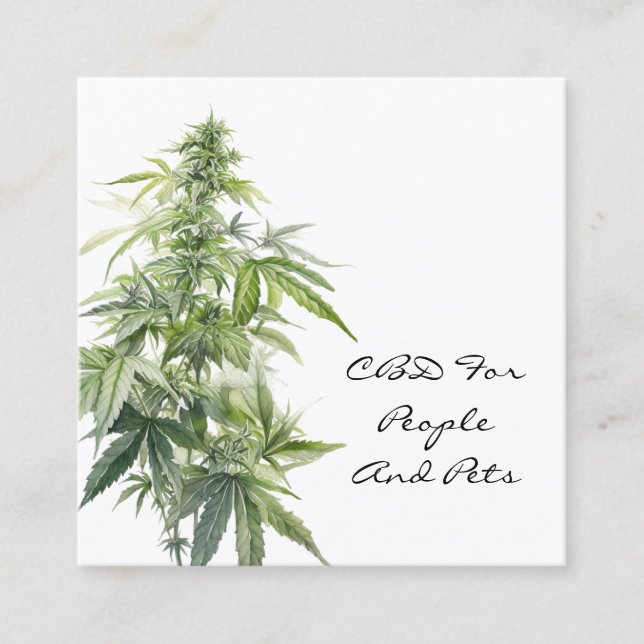 PFLANZE der CBD-Wasserfarbe Quadratische Visitenkarte (Vorderseite)