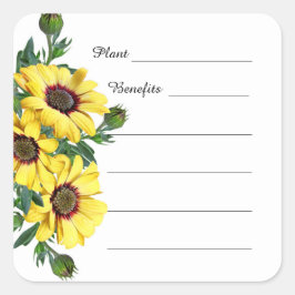 Pflanze der Sonnenblumen Apothekarkräuter: Sticker