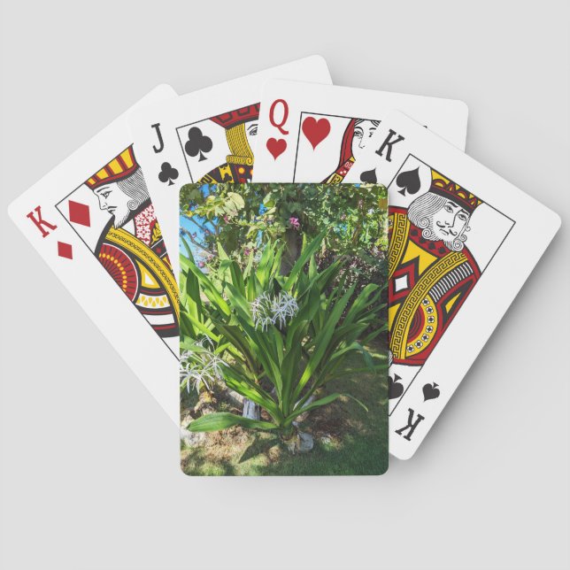 Pflanze der Sumpflöte Spielkarten (Rückseite)
