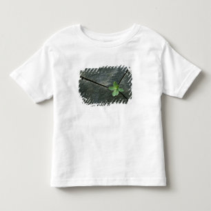 Pflanze, die in gebrochenem Boulder wächst Kleinkind T-shirt