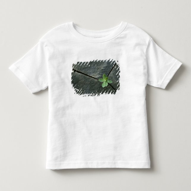 Pflanze, die in gebrochenem Boulder wächst Kleinkind T-shirt (Vorderseite)