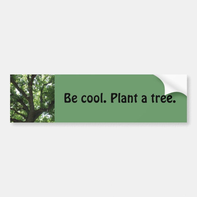 "Pflanze ein Baum-" Autoaufkleber (Vorne)