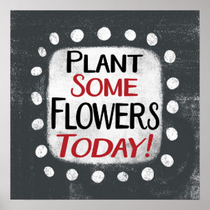 Pflanze Einige Blume heute Poster Wall Art