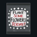 Pflanze Einige Blume heute Postkarte<br><div class="desc">"Pflanze Einige Blume Heute" ist ein niedliches Textdesign in Grau mit Schwarz und Rot. Er sitzt auf einer weißen Akzent-Form und niedliche weiße Polka-Punkte,  die ihn umgeben.</div>