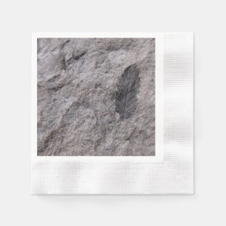 Pflanze Fossil 350 Millionen Yr. Alter gedruckter Serviette
