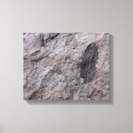 Pflanze Fossil 350 Millionen Yr. Altes Foto drucke