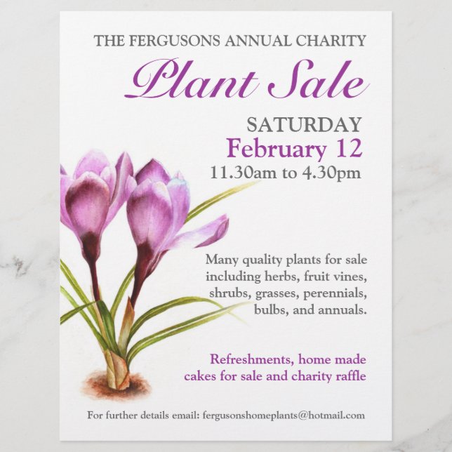 Pflanze Frühjahr Crocus Art Promotion Flyer (Vorne)