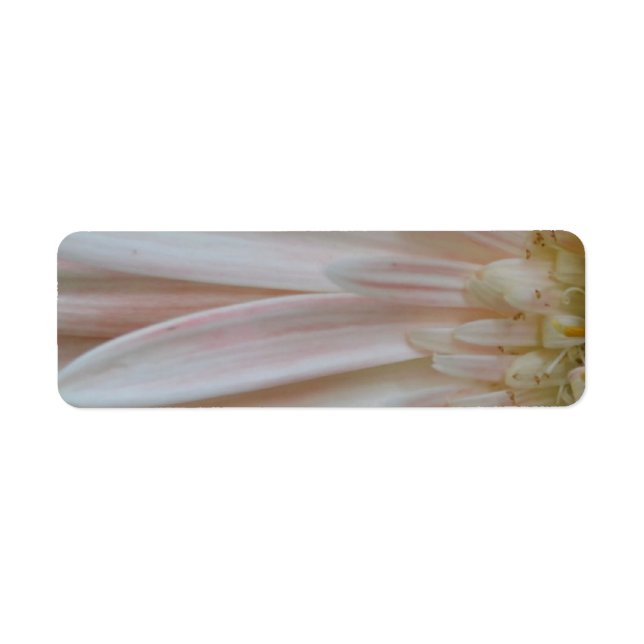 Pflanze für die Blume der Heilung (Vorne)