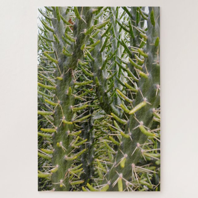 Pflanze "Green Prickly Cactus" (Vertikal)