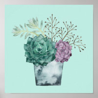 Pflanze Happy Collection | Sukkulturen