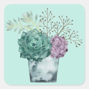 Pflanze Happy Collection Sukkulturen Quadratischer Aufkleber