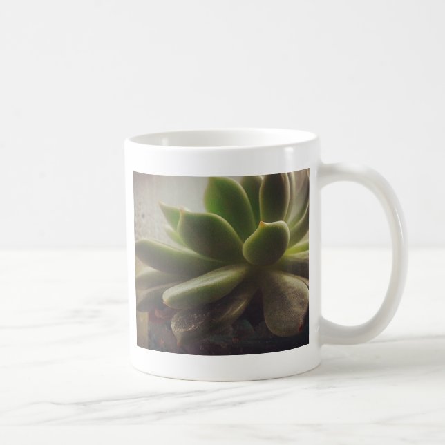 Pflanze Hen und Chicks Kaffeetasse (Rechts)