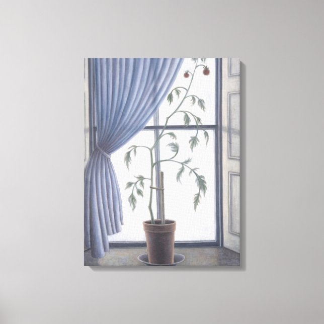 Pflanze im Fenster 2003 Leinwanddruck (Vorderseite)