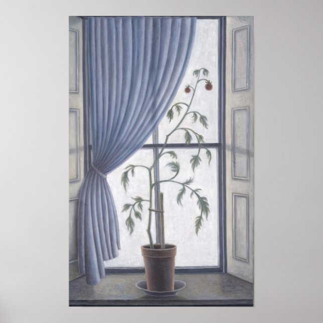 Pflanze im Fenster 2003 Poster (Vorne)