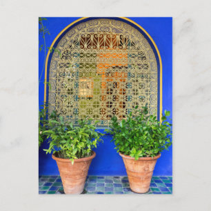 Pflanze im Garten Postkarte